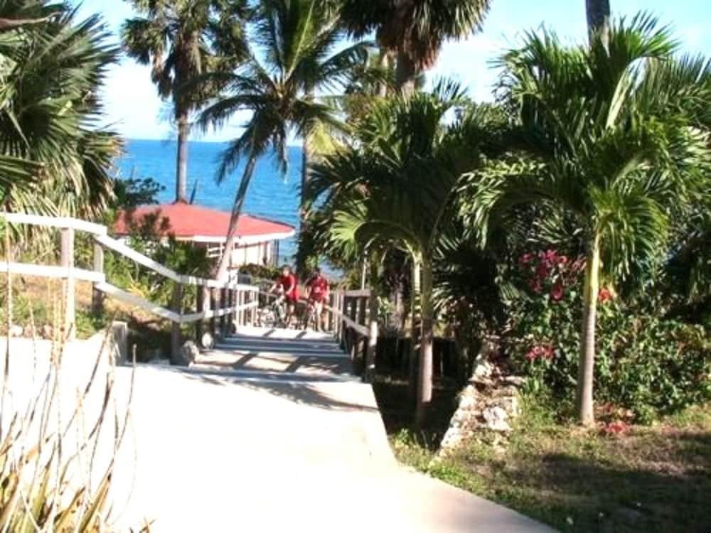 Treasure Beach Hotel 自然 写真